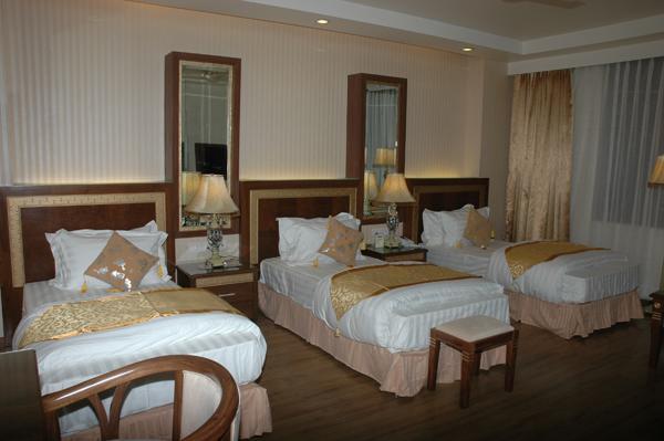 Hotel Picasso Paschim Vihar Delhi - Couple Friendly Local Ids Accepted מראה חיצוני תמונה
